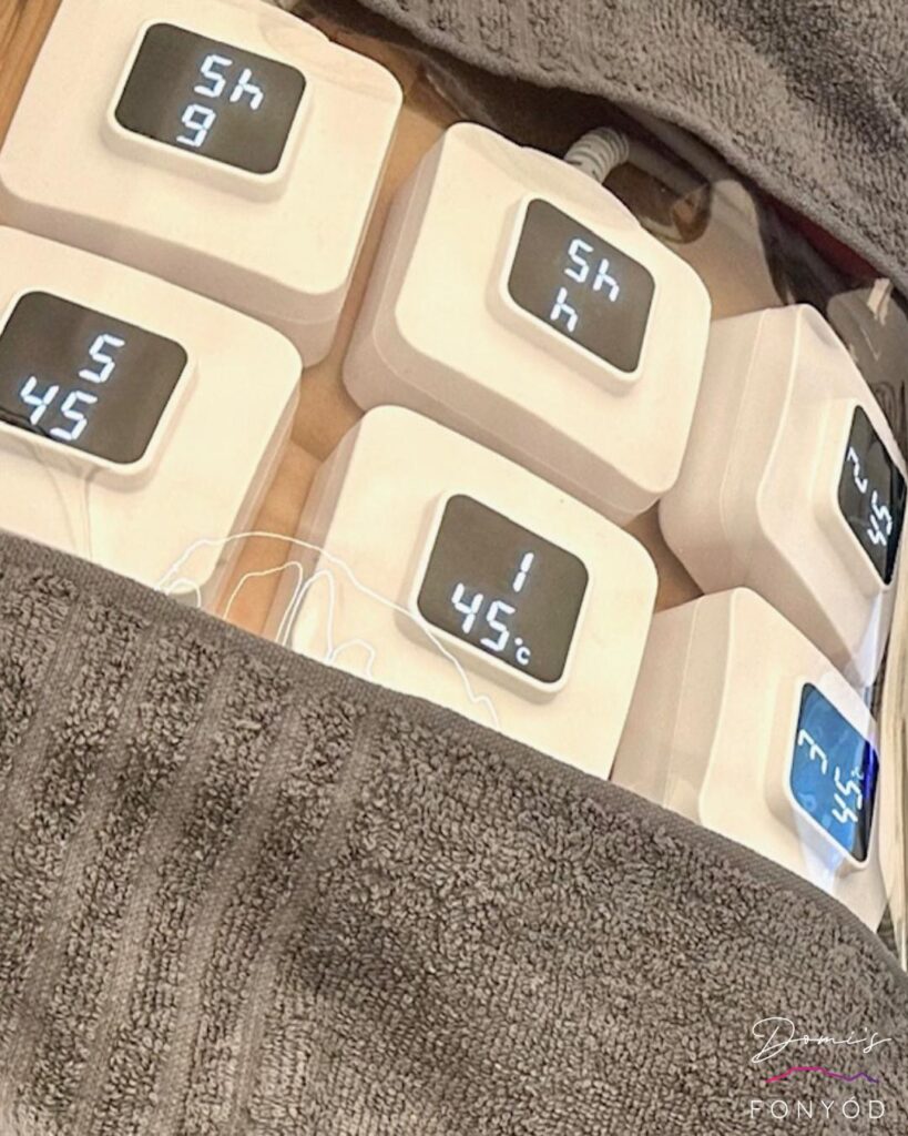 Monosculpt - Főoldal - Domi's Fonyód